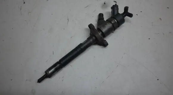 Citroen C4 I Fuel injector 0445110239