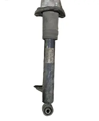 BMW X5 E70 Rear shock absorber/damper 6781922