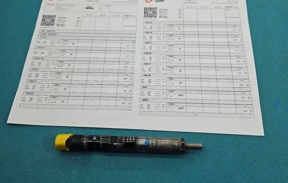 Renault Clio III Fuel injector EJBR05101D IMPRK1558710