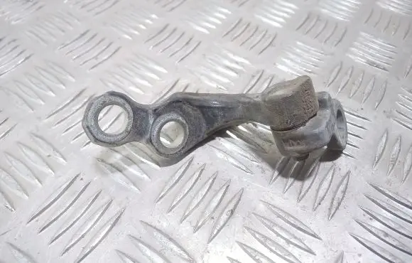Ford Focus Rear door lower hinge
