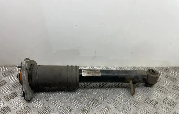 BMW X6 E71 Rear shock absorber/damper 6788512