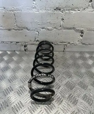 Skoda Octavia Mk3 (5E) Rear coil spring
