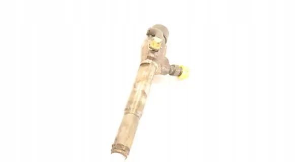 Renault Megane III Fuel injector