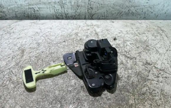 Dodge Challenger Loading door lock 