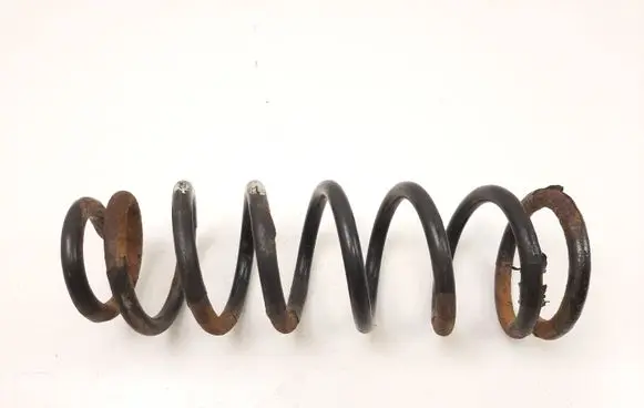Rear coil spring