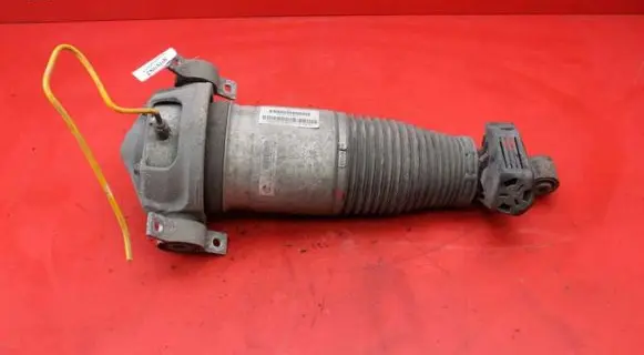 Porsche Cayenne (9PA) Rear shock absorber/damper 7L5512022L
