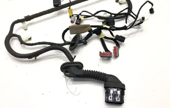 Ford Kuga II Front door wiring loom CV6T14K138