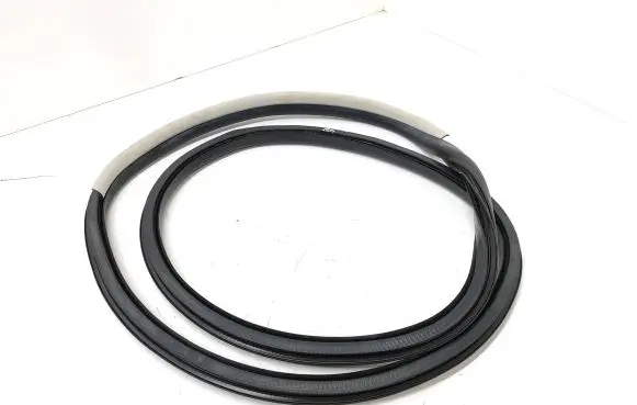 Rear door rubber seal (on body)