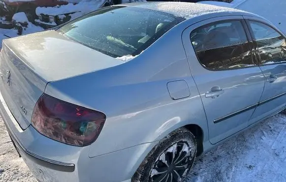 Peugeot 407 Fender 