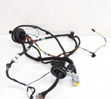Tesla Model S Other wiring loom