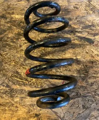 Rear coil spring