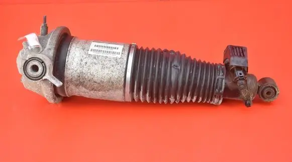 Porsche Cayenne (9PA) Rear shock absorber/damper 7L5512021BD