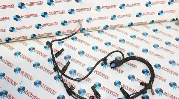 BMW 3 GT F34 Glow plug wires 7811942