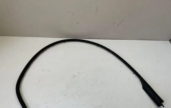 Renault Scenic IV - Grand scenic IV Rubber seal rear door 