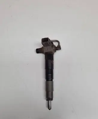 Subaru Outback (BS) Fuel injector B6DFDED2 E1C7C2CA D1DCCFD3