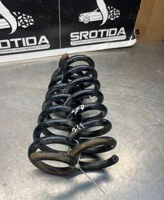 Rear coil spring