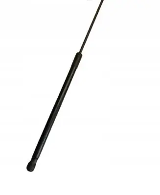 Audi R8 4S Tailgate/trunk strut/damper 4S1925301C