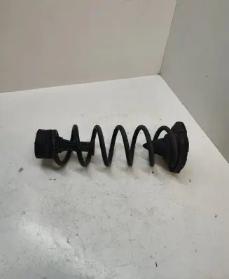 Nissan Qashqai Rear coil spring