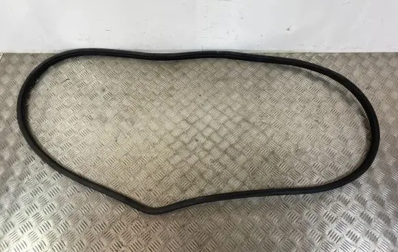 Dodge Durango Front door rubber seal
