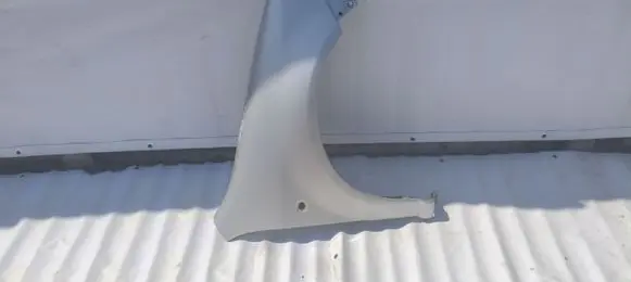Skoda Fabia Mk1 (6Y) Fender 