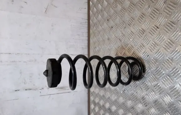 Audi Q5 SQ5 Rear coil spring