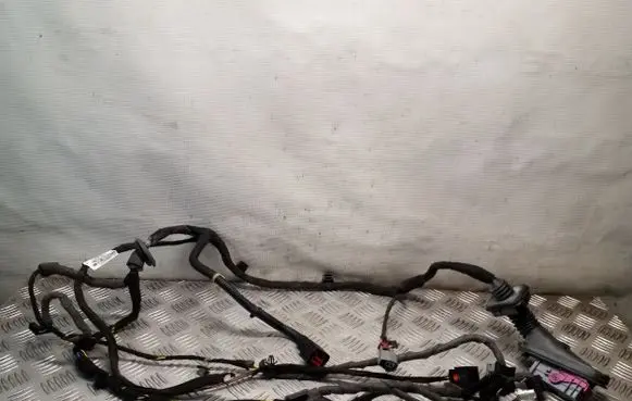 Front door wiring loom