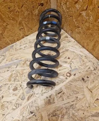 Rear coil spring