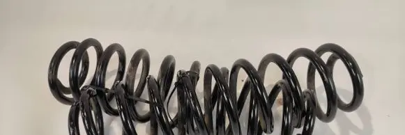Ford Mustang V Rear coil spring
