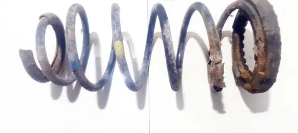 Rear coil spring