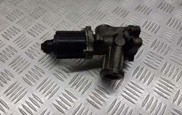 Fiat Punto (199) EGR valve 46817509