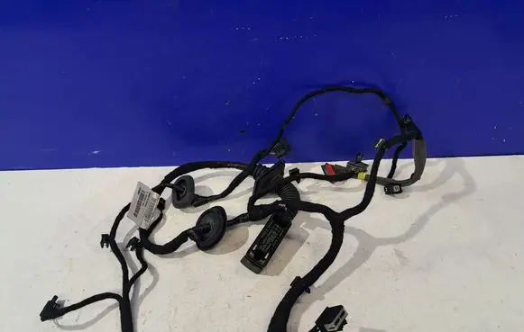 Polestar 2 Front door wiring loom 32343868