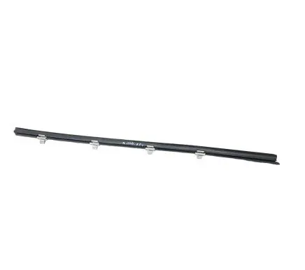 Dodge Charger Rubber seal rear door window/glass 