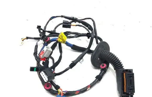 Front door wiring loom