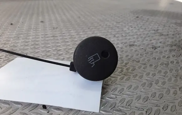 Iveco Daily 30.8 - 9 Mirror heating switch 