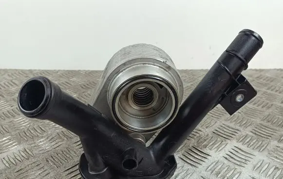 Renault Kadjar Engine oil radiator 213059324RC
