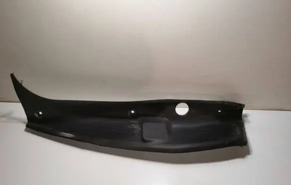 Rear/tail light trim molding