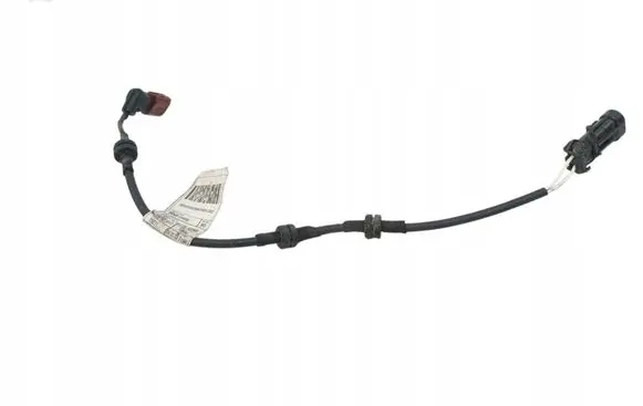Alfa Romeo Tonale Wiring harness 00505724550