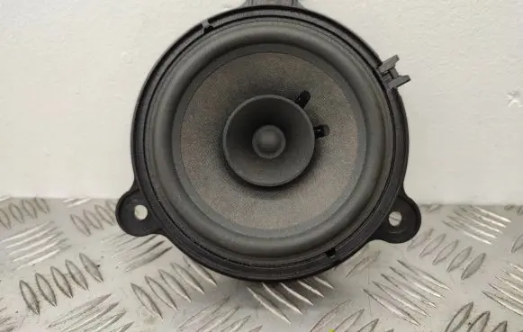 Renault Zoe Rear door speaker