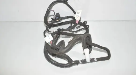 Tesla Model 3 Rear door wiring loom 106796590D 1067965 206796500B