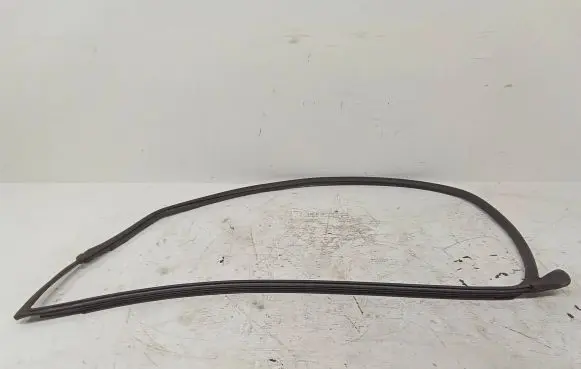 Audi TT TTS RS Mk3 8S Front door rubber seal 8S8831707
