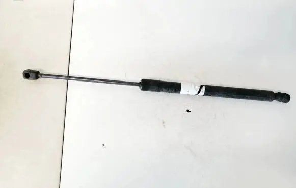 Tailgate/trunk strut/damper