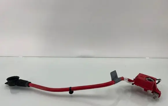 BMW 5 F10 F11 Positive cable (battery) 9217036 EEZ17Z