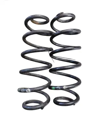 Rear coil spring