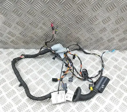 BMW 5 G60 G61 Front door wiring loom 5A8BFA3