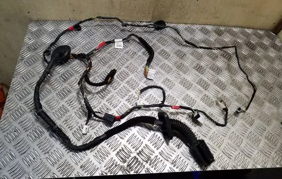 KIA Sorento Front door wiring loom 916112P151
