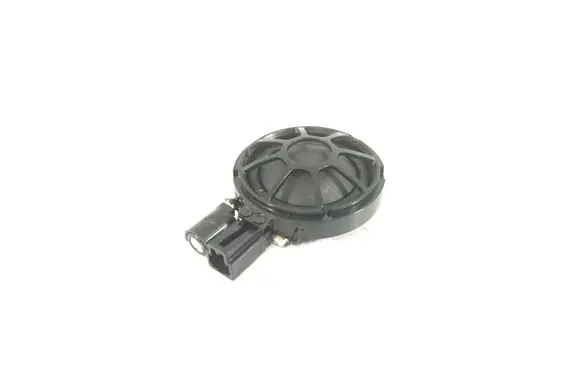 Front door high frequency speaker