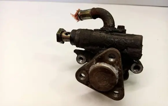 Volkswagen PASSAT B5.5 Power steering pump