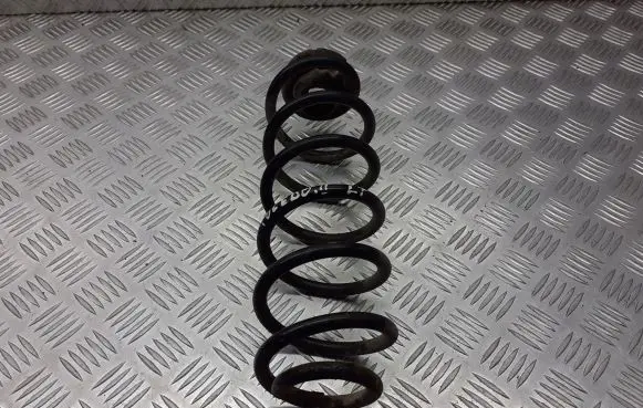 Seat Toledo II (1M) Rear coil spring BRAK