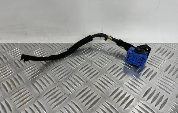 Hyundai Ioniq 5 Other wiring loom