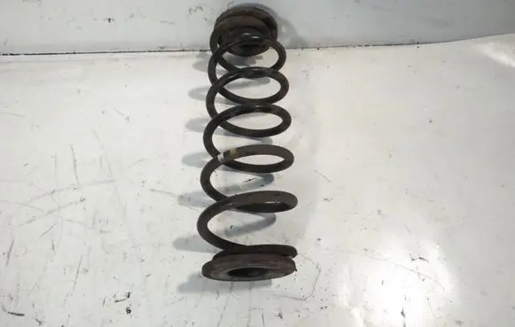 Volkswagen Golf VI Rear coil spring
